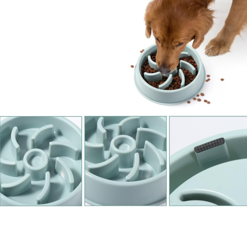 Gamelle Anti-Glouton – Alimentation Lente et Digestion Saine pour Chiens et Chats