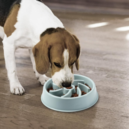 Gamelle Anti-Glouton – Alimentation Lente et Digestion Saine pour Chiens et Chats